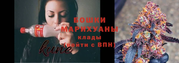 сатива Балахна