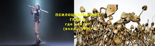прущая мука Белоозёрский