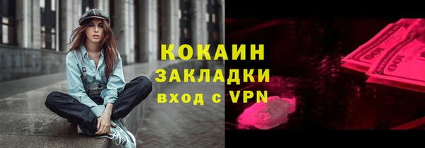 сатива Балахна