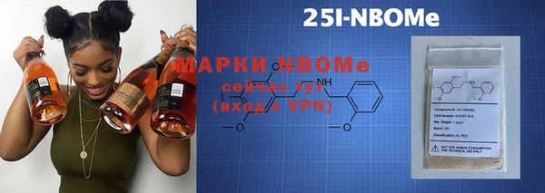 хмурый Белокуриха