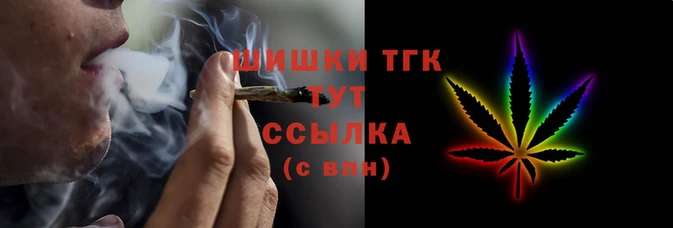 сатива Балахна