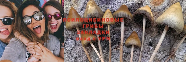ешки Балабаново
