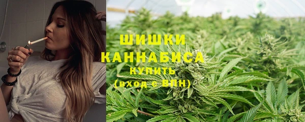 хмурый Белокуриха