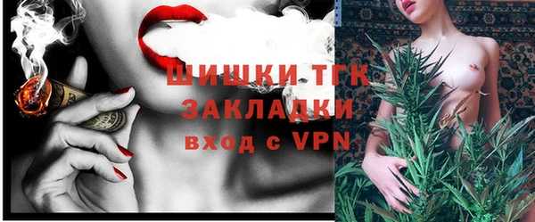 сатива Балахна