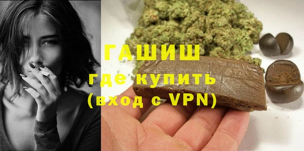хмурый Белокуриха