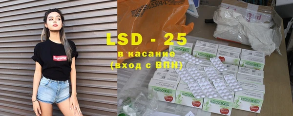 хмурый Белокуриха