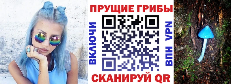 Галлюциногенные грибы прущие грибы  Великий Устюг 